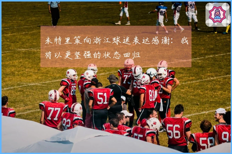 米特里策向浙江球迷表达感谢：我将以更坚强的状态回归