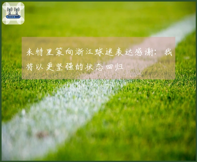 米特里策向浙江球迷表达感谢：我将以更坚强的状态回归